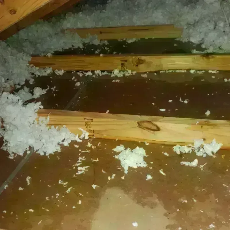 Attic Water Damage in Orangevale, CA