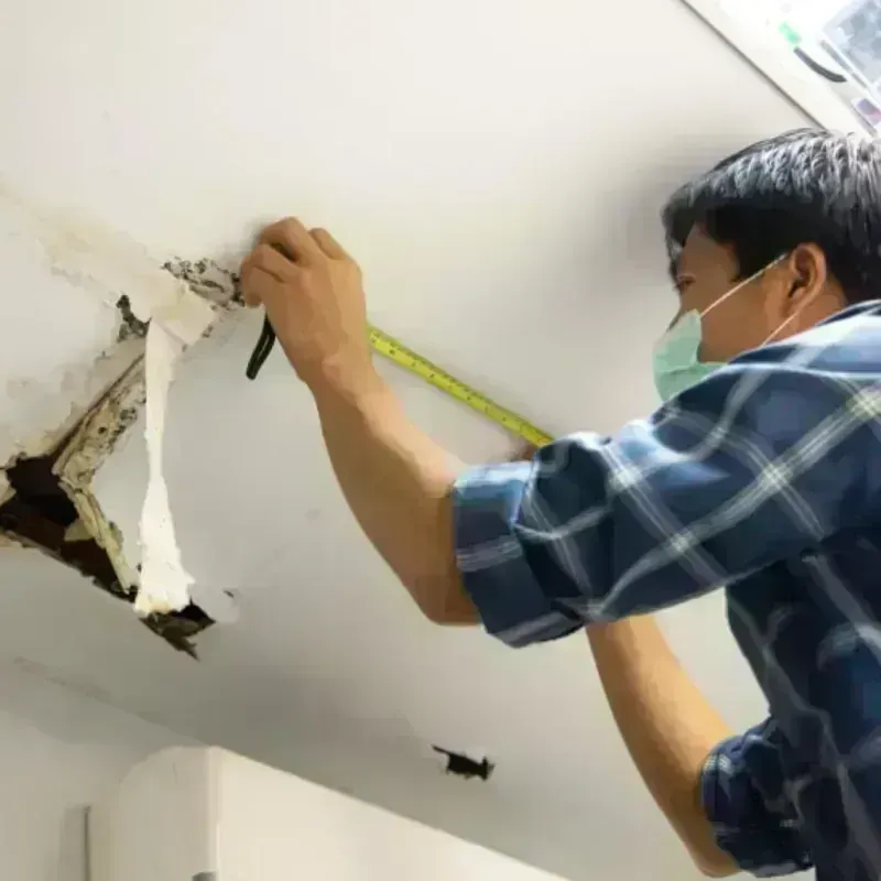 Ceiling And Wall Water Damage in Orangevale, CA