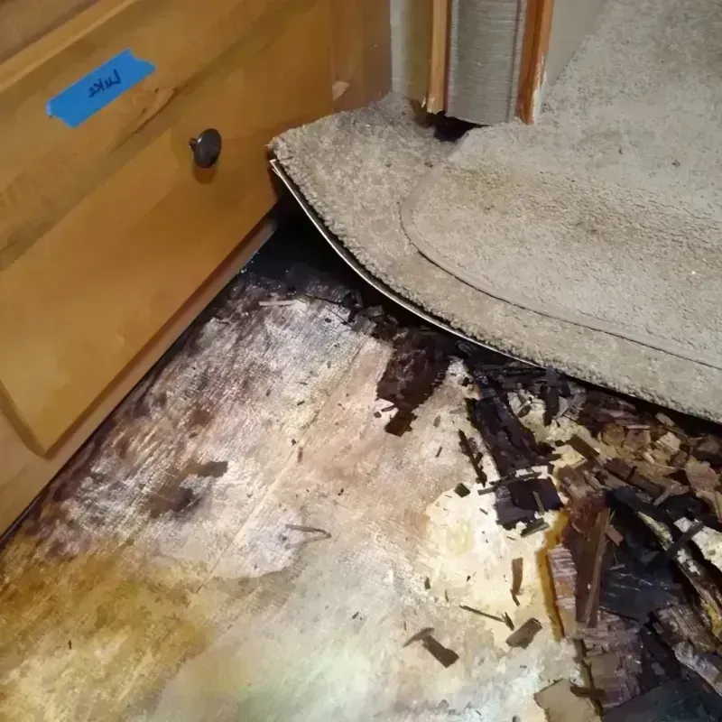 Wood Floor Water Damage in Orangevale, CA